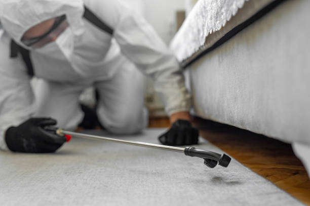 Professional Bed Bug Control technician working in Lomira, WI